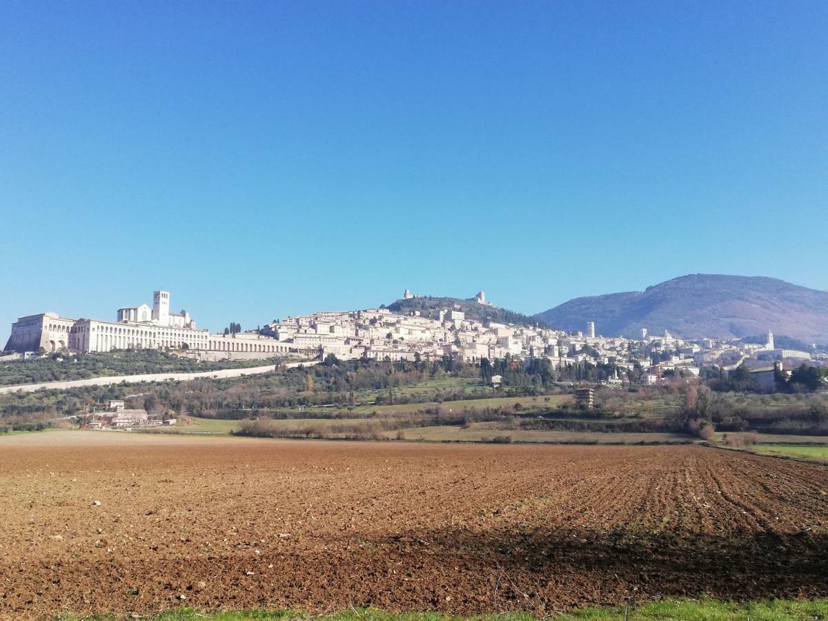 أسيسي Villa Gina المظهر الخارجي الصورة